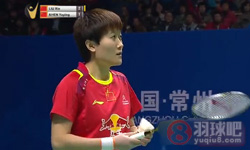 2014年中国羽毛球大师赛 刘鑫VS 沈雅颖女单决赛高清比赛录像