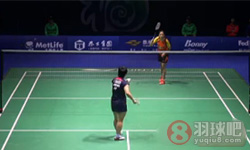 2014年中国羽毛球公开赛 山口茜(日本)VS王适娴(中国) 女单1 8决赛高清比赛录像