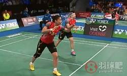 2014丹麦羽毛球公开赛 王晓理 于洋(中国)VS克里斯汀娜·佩蒂森 卡米拉·吕特·尤尔(丹麦) 女双1 4决赛高清录像