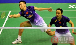 2013年香港羽毛球公开赛 克里斯·爱德考克/加布里·爱德考克VS 张楠/赵芸蕾 ( 中国 )