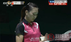 2014中国羽毛球公开赛 张蓓雯(美国)VS姚雪(中国) 女单1 16决赛高清录像