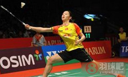 2013年印度尼西亚羽毛球公开赛 李雪芮VS 朱利安·申克女单决赛录像